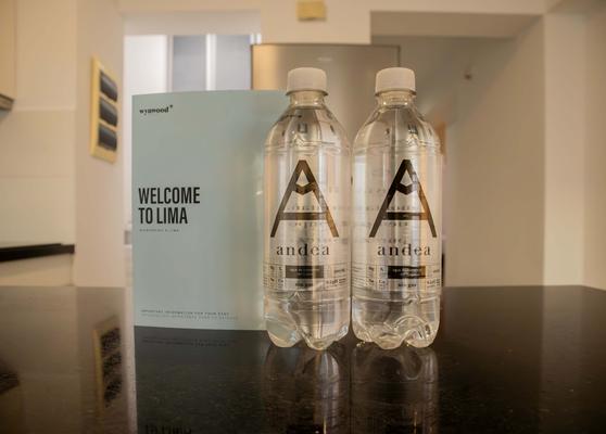 Minimalist 2BR w/ Balcony in Barranco