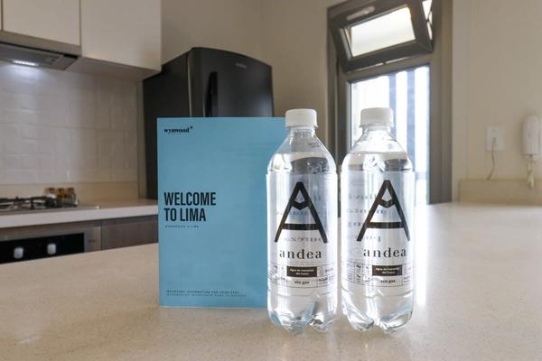 Lovely 1BR with Park View in Miraflores