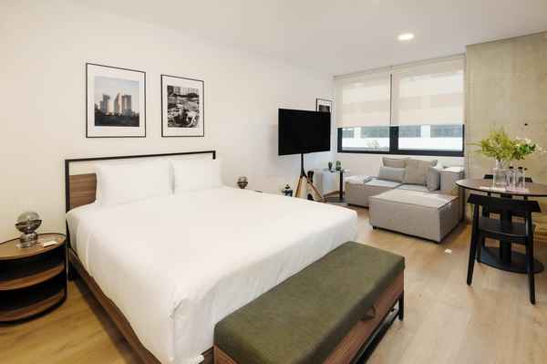 Airy Loft in the Heart of Cuauhtemoc
