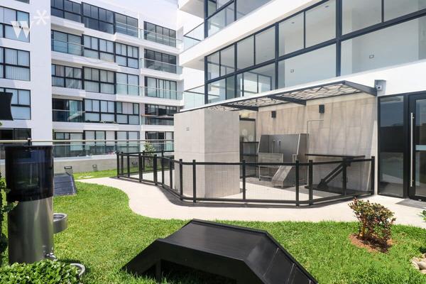 Sunny 1BR in San Isidro