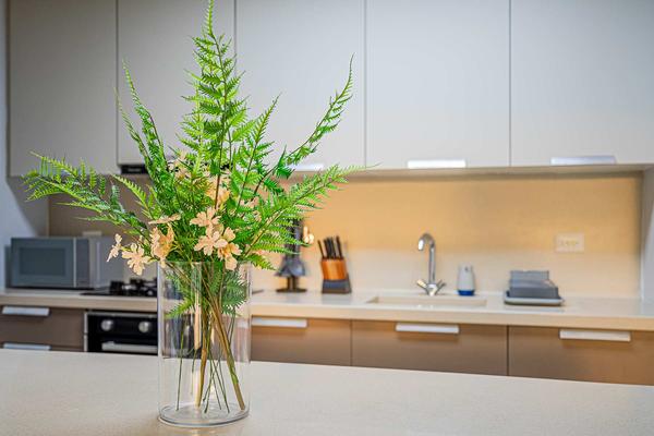 Thrilling 2BR in San Francisco